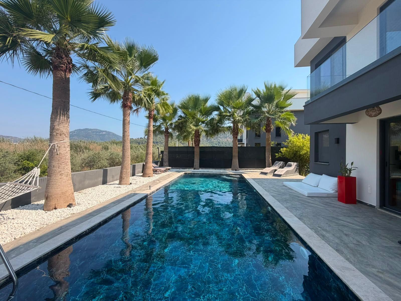 Private pool surrounded by palm trees in daylight